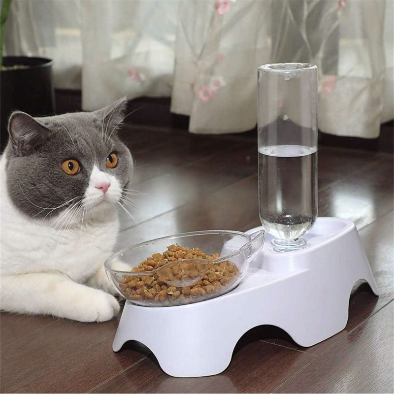 وعاء مزدوج للكلاب والقطط مع زج - مراجعة Royal Canin Food Medium وسعره