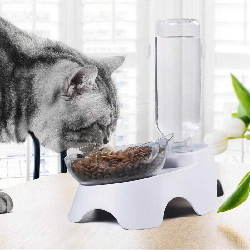 وعاء مزدوج للكلاب والقطط مع زج - مراجعة Royal Canin Food Medium وسعره