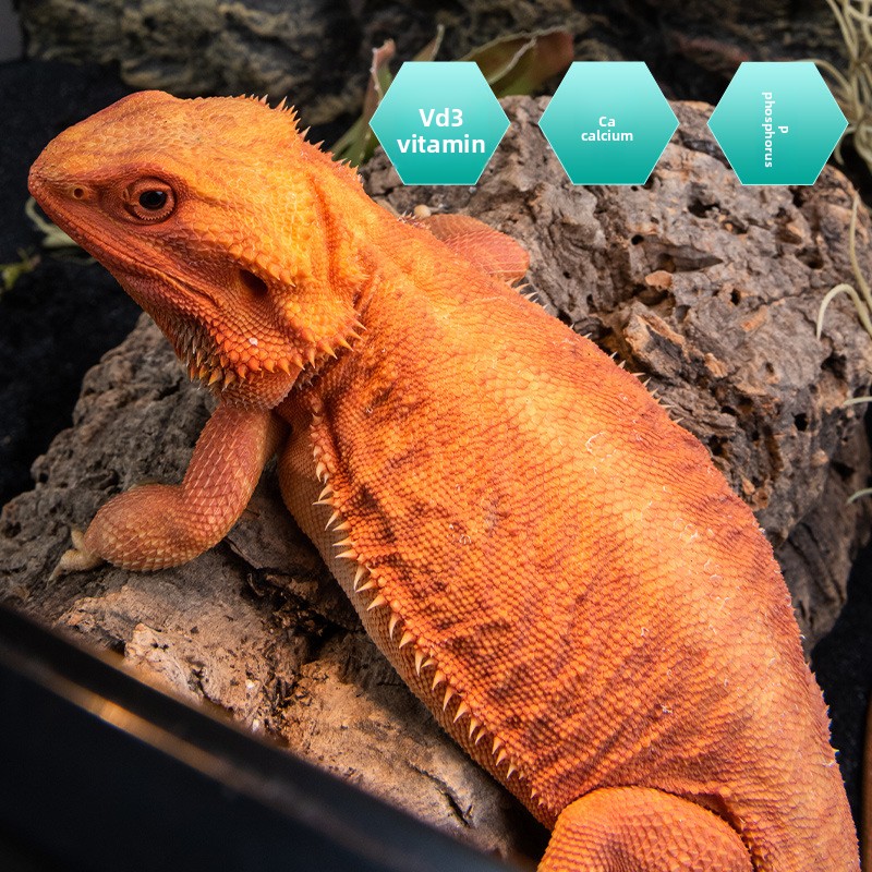 مزيج SuperRep للزواحف والكالسي - مراجعة Vitamin D3 Reptile وسعره